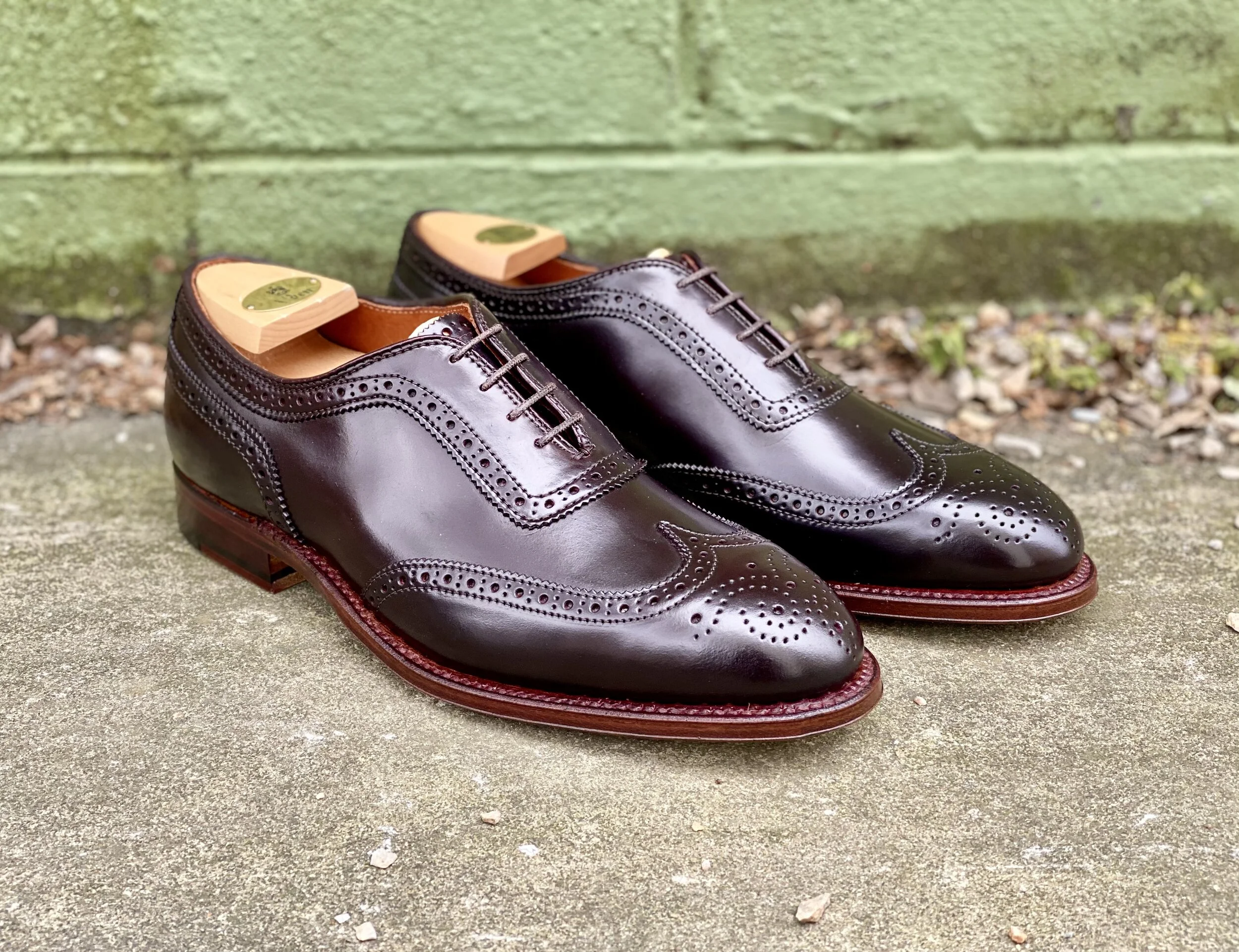 Alden shoe D0306 The Savvy Harvard Wing Wingtip Oxford Color 8 Shell Ealdwine Raleigh